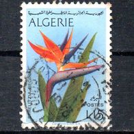 Algerien Nr. 609 - 2 gestempelt (2528)