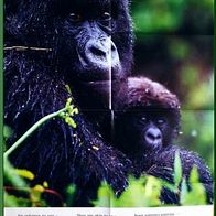 Gorillas brauchen Schutz - Sie gehören zu uns - Jahr des Gorillas 2009 PLAKAT Poster