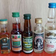 Miniaturflaschen Sammelflaschen Werbeflaschen Schnapsflaschen ALT 19