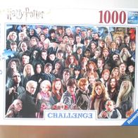 Puzzle 1000 Teile Harry Potter Challenge von Ravensburger