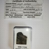 Meteorit NWA 11344 (mit Zertifikat )