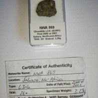 Meteorit NWA 869 ( mit Zertifikat )