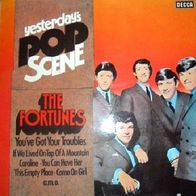 The Fortunes - You´ve Got Your Troubles - 12" LP - Decca ND 860 (D) 1974