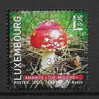 005) Luxemburg 2013 Pilze Mi. Nr. 1990 gestempelt