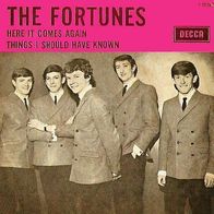 The Fortunes - Here It Comes Again / Things I Should - 7" - Decca F 12243 (NL) 1965