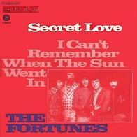 The Fortunes - Secret Love / I Can´t Remember.. - 7" - Capitol 1C 006-81 327 (D) 1972