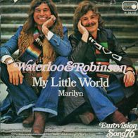 7 Vinyl Waterloo & Robinson - My little World