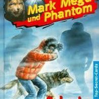 Schreie im Schneesturm. Mark Mega und Phantom, Band 10, Thomas Brezina