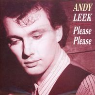 7 Vinyl Andy Leek - Please Please