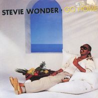 7 Vinyl Stevie Wonder - Go Home