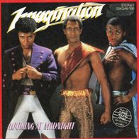 7 Vinyl Imagination / Looking at Midnight