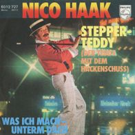 7 Vinyl Nico Haak / Stepper Teddy