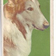 WS Verlag Fernsehserie Lassie # 4