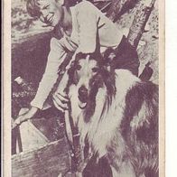 WS Verlag Fernsehserie Lassie # 8