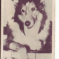 WS Verlag Fernsehserie Lassie # 9
