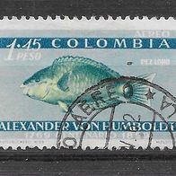 038) Kolumbien 1960 Fische Mi. Nr. 906 gestempelt