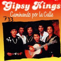 7 Vinyl Gipsy Kings - Caminando por la Calle