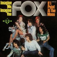 7 Vinyl Fox - Imagine me Imagine You