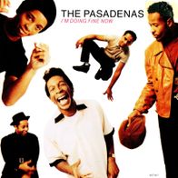 7 Vinyl The Pasadenas - I´m doing fine now