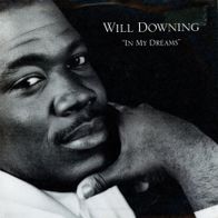 7 Vinyl Will Downing - In my Dreams ( Remix )