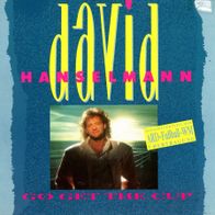 7 Vinyl David Hanselmann - Go get the Cup