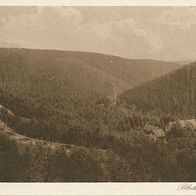 alte AK Finsterbergen Thüringer Wald 1927, Blick ins Leinatal