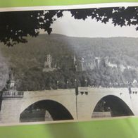 Heidelberger Schloss Fotograpie mit Alte Brücke und Göttin Minerva