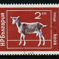 Bulgarien Mi. Nr. 2320 Haustiere: Ziege o <