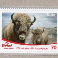 x07] BRD - Privatpost Briefundmehr- Bison (Bos bison)