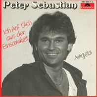 7 Vinyl Peter Sebastian - Ich hol dich aus der Einsamkeit