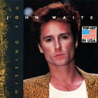 7 Vinyl John Waite - Missing You