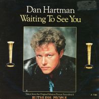 7 Vinyl Dan Hartman - Waiting to see You