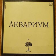 Akvarium - Akvarium (1987) psychedelic folk LP Russia Melodiya M