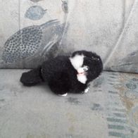 schwarze Katze mit Klammerpfoten (M#)