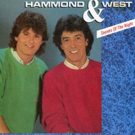 7 Vinyl Hammond & West - Secrets of the Night