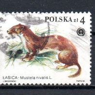 Polen Nr. 2951 gestempelt (2328)