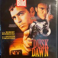 From Dusk Till Dawn - Kult-Horroraction - Clooney/Tarantino - Rodrigez - DVD