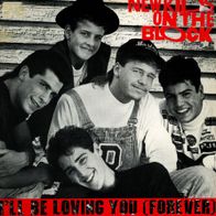 7 Vinyl New Kids on the Block - I´ll be Loving You