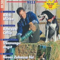 Hunde Welt Nr. 4 April 1999 Hundemagazin