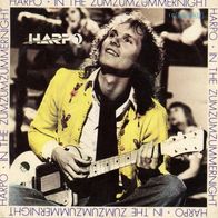 7 Vinyl Harpo - In the Zum Zumzummernight