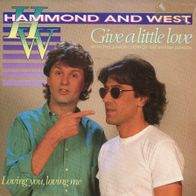 7 Vinyl Hammond & West - Give a little Love