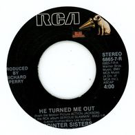 7 Vinyl Pointer Sisters - He turned me out ( Ohne Cover )