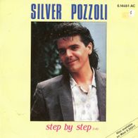 7 Vinyl Silver Pozzoli - Step by Step