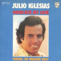 7 Vinyl Julio Iglesias / Goodbye my Love