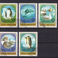 Mongolei 1980 Tiere der Antarktis 5 verschiedene Briefmarken gestempelt