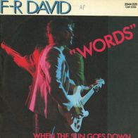 7 Vinyl F.R David - Words