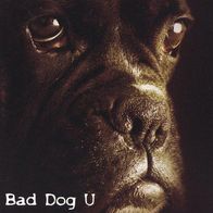 Bad Dog U (US) - Bad Dog U (2004) fusion jazz-rock CD M/M