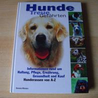 Hunde - Treue Gefährten