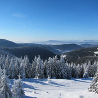 Ferienwohnung im Thüringer Wald Ilmenau Winterurlaub jetzt buchen