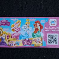 Ü - Ei Beipackzettel Disney Prinzessin FF 534E